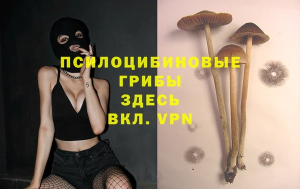 хмурый Алексин