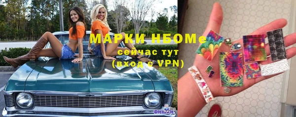 хмурый Алексин