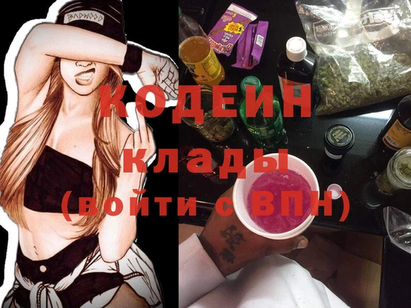 хмурый Алексин