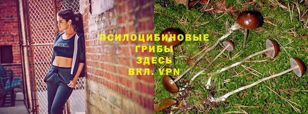 хмурый Алексин