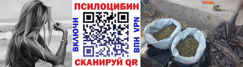 Галлюциногенные грибы Psilocybe Анива