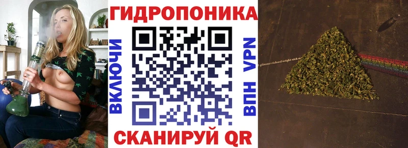 hydra ССЫЛКА  Анива  Бошки марихуана ГИДРОПОН  цены  